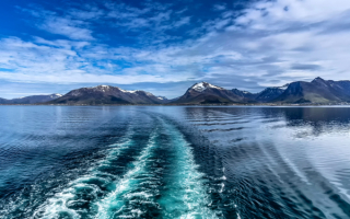 Норвежское море