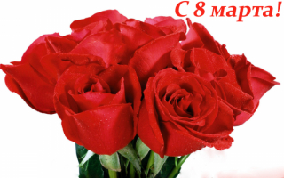 Букет роз с 8 марта