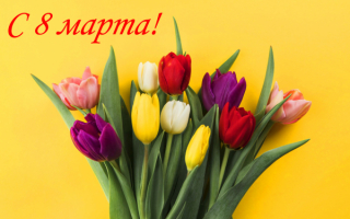 Букетик тюльпанов 8 марта