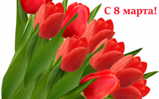 Картинка с тюльпанами к 8 марта