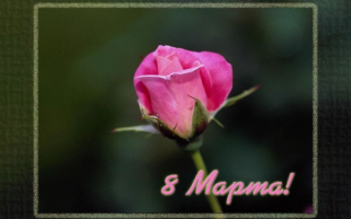 С 8 Марта