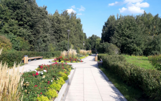 Московский ботанический сад