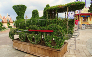 В Олимпийском парке в Сочи