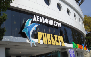 Дельфинарий Ривьера в Сочи