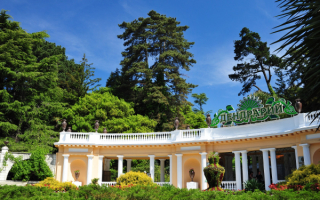 Ботанический сад в Сочи