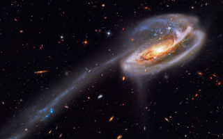 Спиральная галактика Головастик