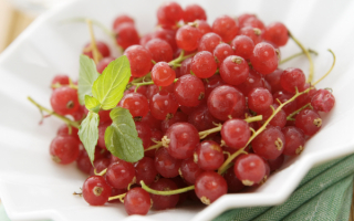 Красная смородина