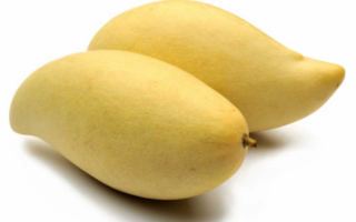 Фрукты манго