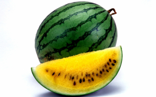 Арбуз с желтой мякотью