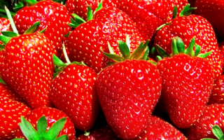 Спелая сладкая клубника