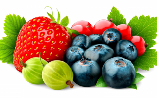 Спелые ягоды