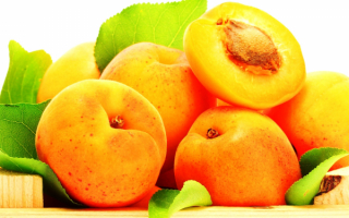 Абрикосы