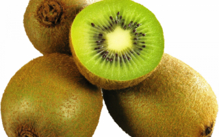 Плоды киви