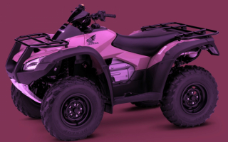 Квадроцикл Honda FourTrax Rincon ATV