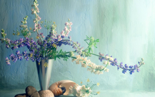 Букет цветов люпина