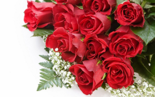 Букет роз лучший подарок