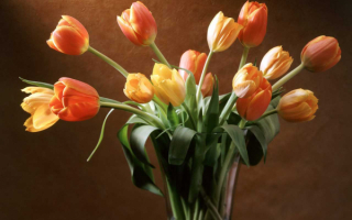Букет тюльпанов