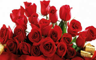 Букет алых роз