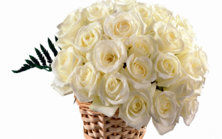 Букет белых роз