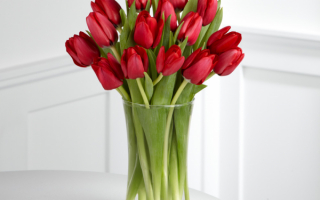 Букет тюльпанов