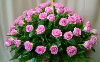 Букет розовых роз