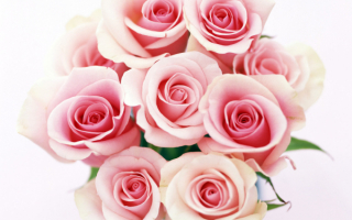 Букет из роз