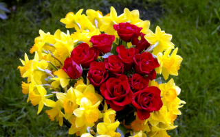 Букет из красных роз и желтых нарциссов