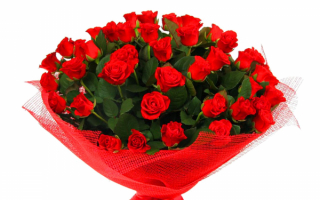 Букет красных роз