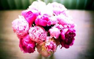 Букет пионов