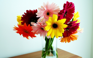 Букетик гербер