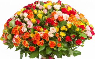 Большой букет роз