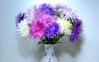 Букет астр в вазе