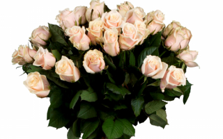 Букет розовых роз