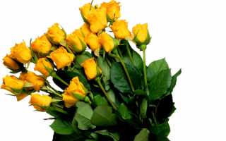 Желтый букет