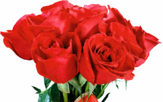 Красный букет