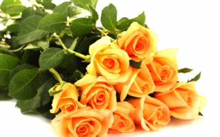 Желтый букет