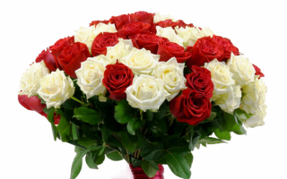 Красно-белый букет