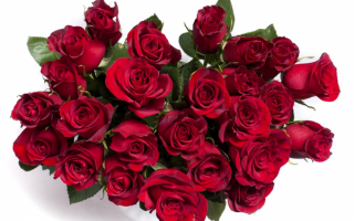 Картинка букет роз