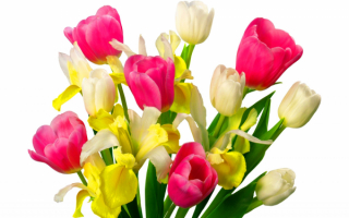 Букет весенних цветов