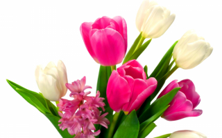 Букеткик цветов