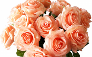 Розы в букете