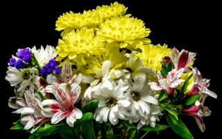Букет Цветов