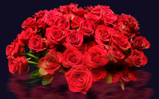 Большой букет красных роз