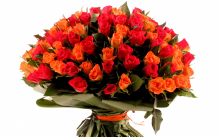 Большой букет роз