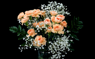 Букет из гвоздик