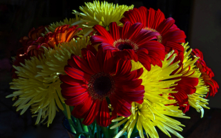 Букет из хризантем и гербер