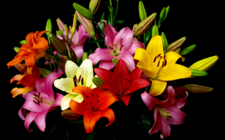 Букет лилий