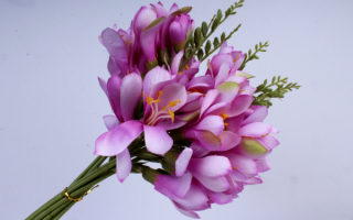 Букет пурпурных фрезий
