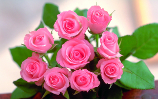 Букетик роз