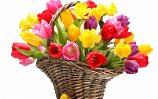 Весенний букет в корзине